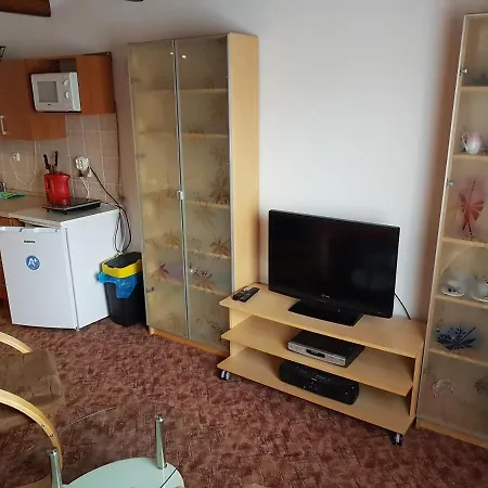 Apartment Příbram Penzion 3*