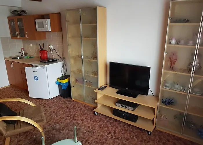 Apartment Pribram Gasthuis 3*