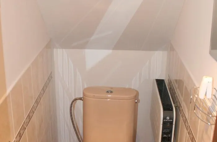 Apartment Pribram Pensionat 3*